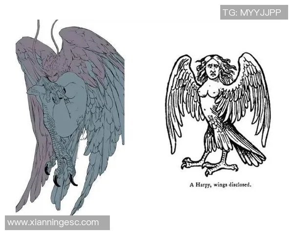 探索摩尔特里的魅力与历史深度揭示这座城市的独特风情与文化底蕴