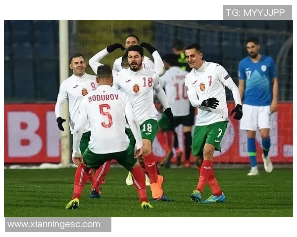 挪威与塞尔维亚欧预赛精彩集锦回顾及比赛分析