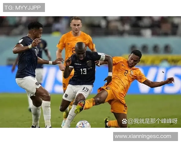 法国与荷兰激战正酣比赛结果揭晓引发球迷热议